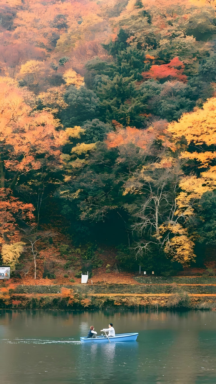 最新更新5